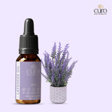 Lavender Oil